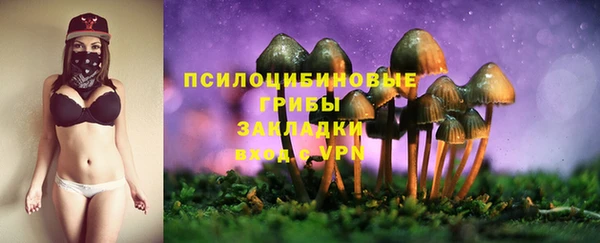 марки nbome Ельня