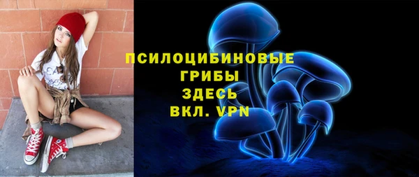марки nbome Ельня