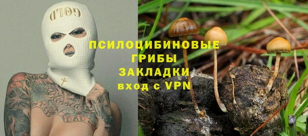марки nbome Ельня